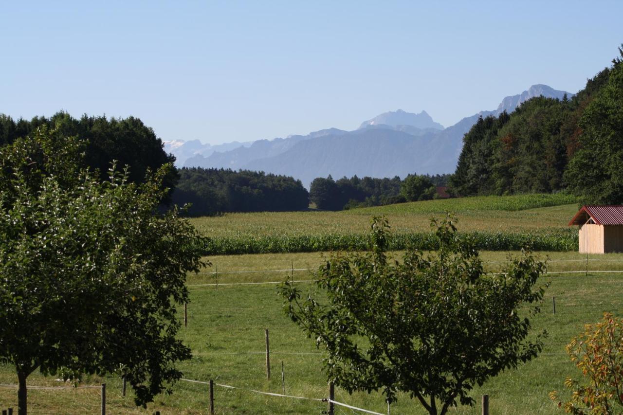Wagnerhof Villa Kirchanschoring Dış mekan fotoğraf